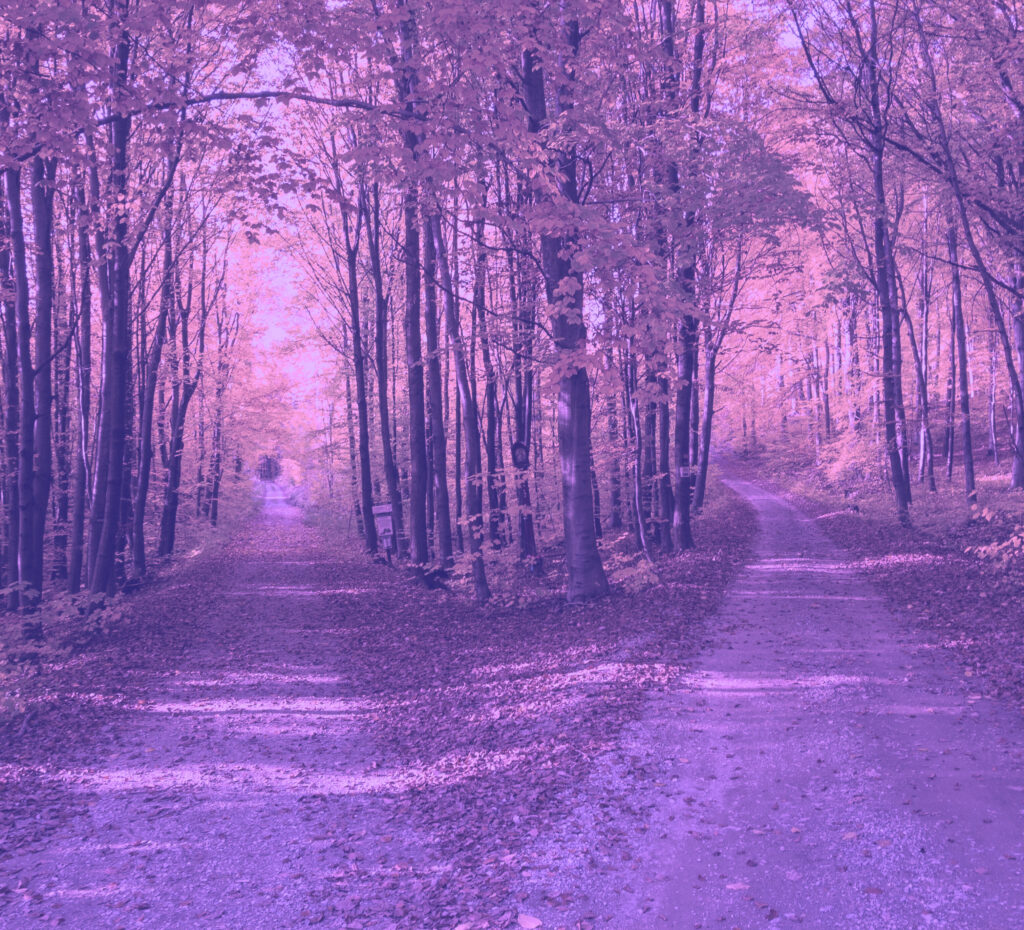 0d4c3d21 9317 49a9 a78e a95a9e1a6034